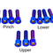 EXT Ferro Titanium Bolts (Set of 12)